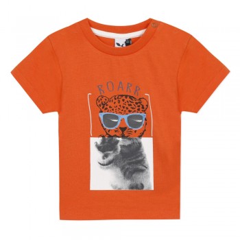 Tee Shirt Tigre  - 3 POMMES | Jojo&Co : Vêtements enfants - Antibes