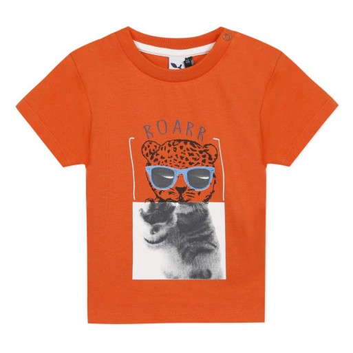 Tee Shirt Tigre  - 3 POMMES | Jojo&Co : Vêtements enfants - Antibes