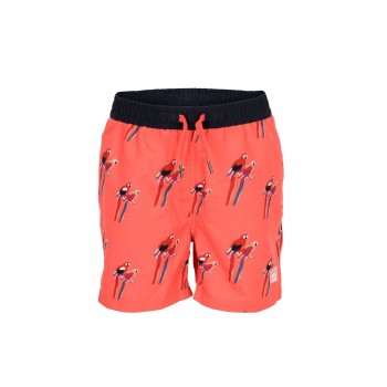 Short de bain JANDJOY  |  Jojo&Co : Vêtements enfants - Antibes